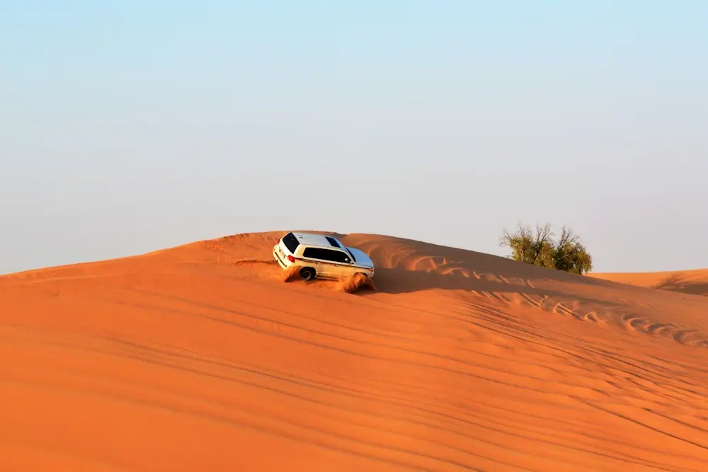 Dubai Desert Safari: Everything You Need To Know In 2024