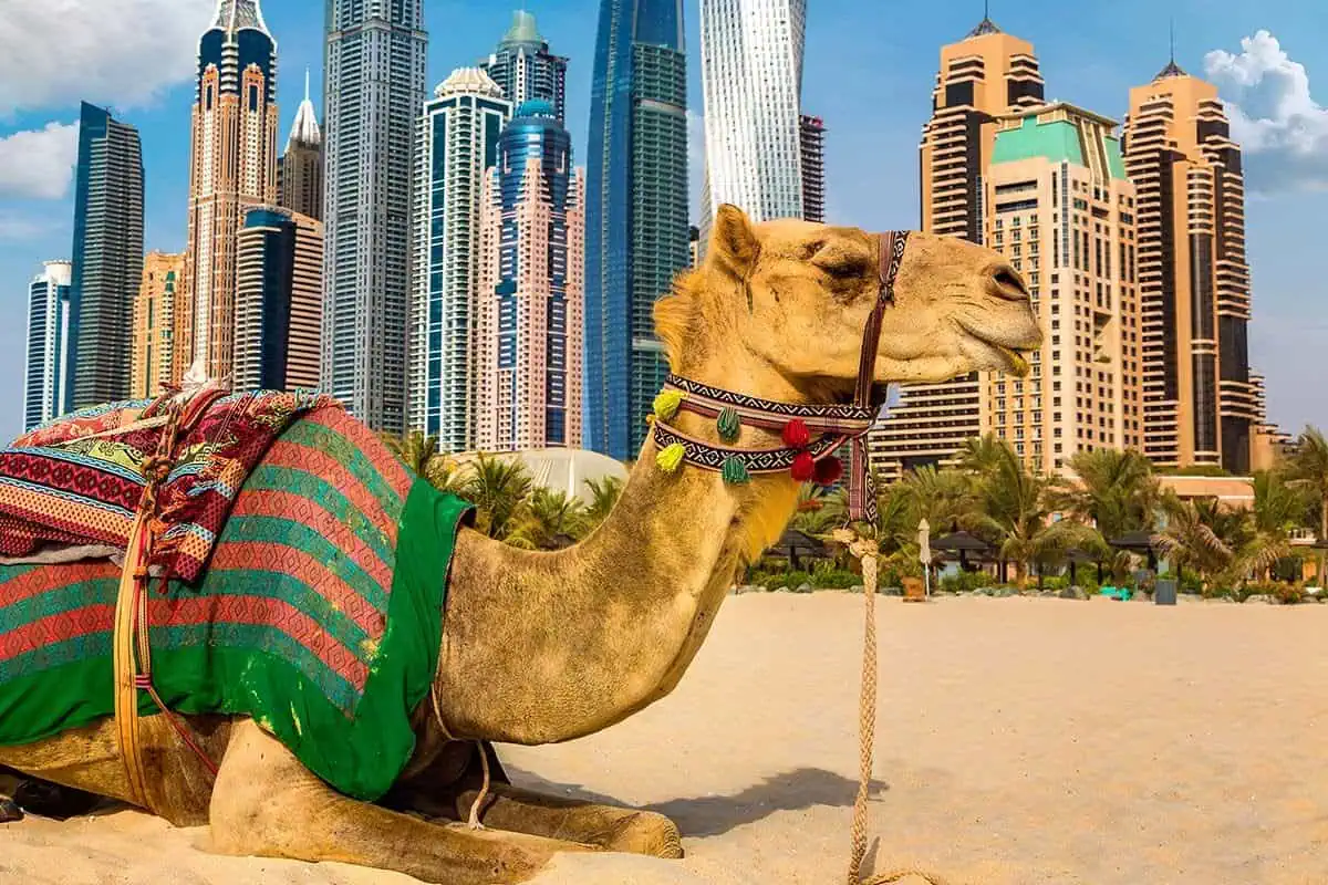 what-to-do-in-Dubai